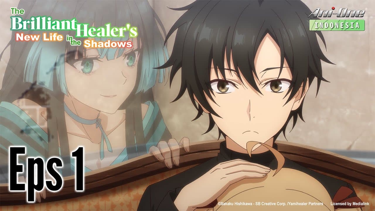 The Brilliant Healer's New Life in the Shadows