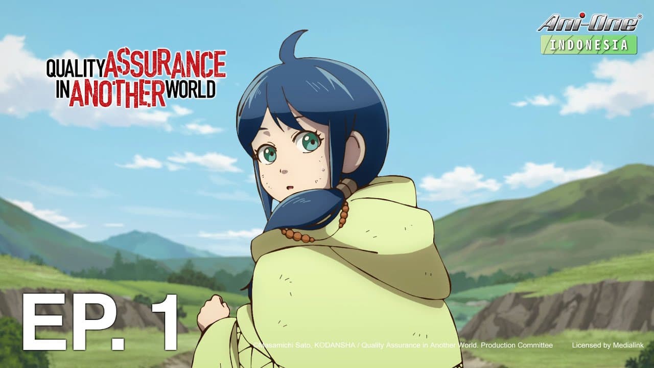 Quality Assurance in Another World